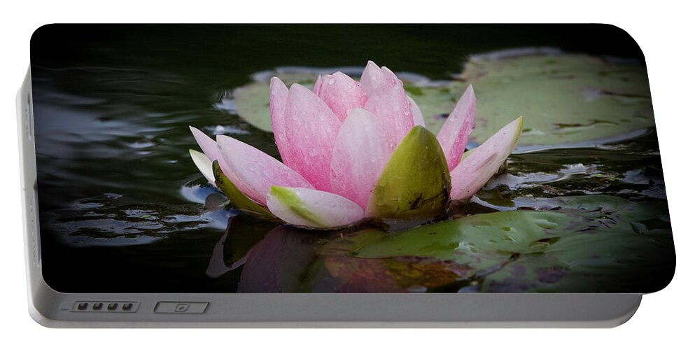 Waterlily Portable Battery Charger featuring the photograph Large Pink Water Lily by Shirley Dutchkowski