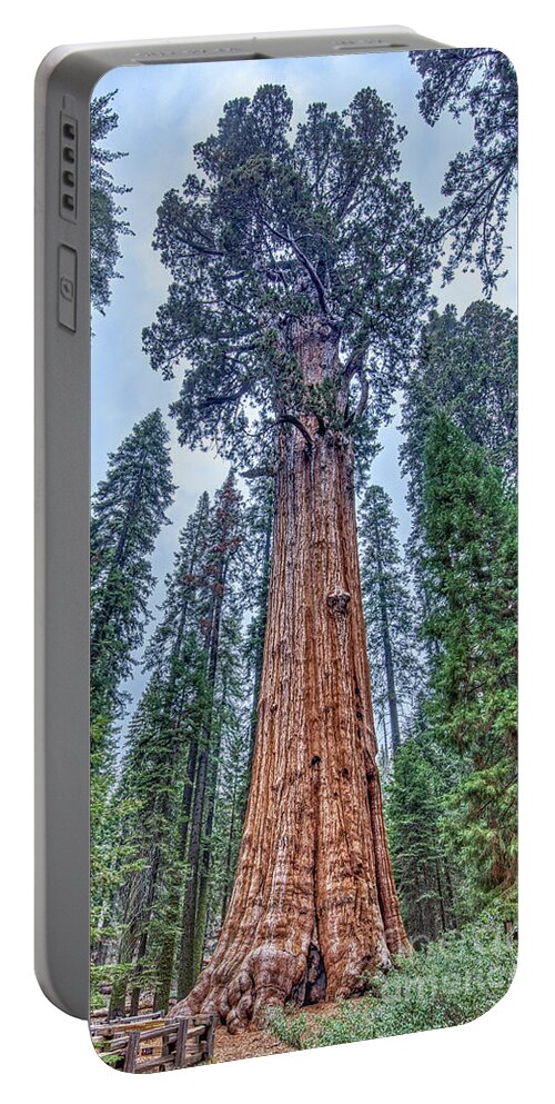 Largest Tree In The World General Sherman Portable Battery Charger featuring the photograph Largest Tree in the world General Sherman by Dustin K Ryan