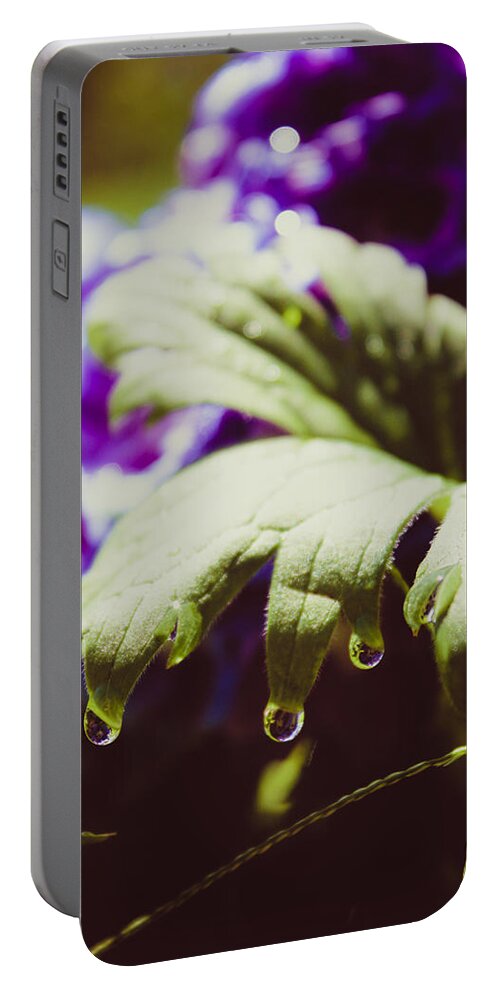 Larkspur Portable Battery Charger featuring the photograph Larkspur Leaf Water Drops by W Craig Photography