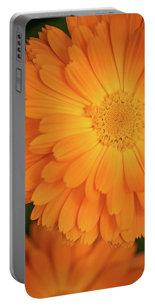 Macro Portable Battery Charger featuring the photograph Last Light by Laura Macky
