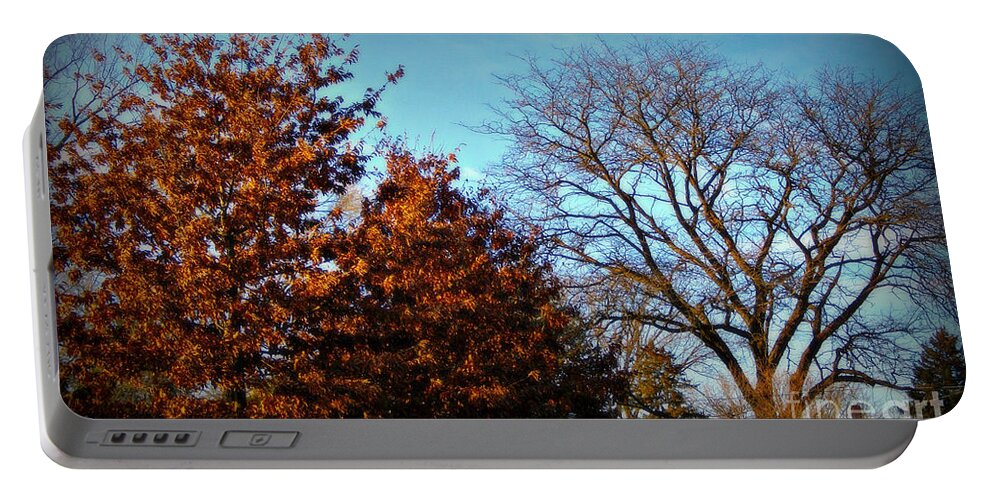 Nature Portable Battery Charger featuring the photograph Late Autumn Golden Hour - Soft by Frank J Casella