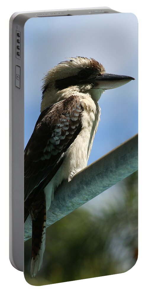 Animals Portable Battery Charger featuring the photograph Laughing Kookaburra by Maryse Jansen