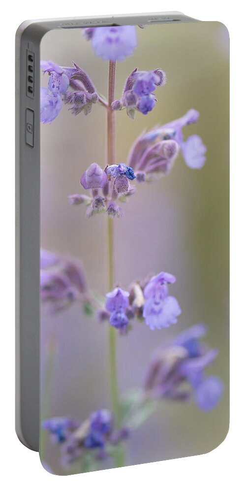 Macro Portable Battery Charger featuring the photograph Lavendar Dream by Laura Macky