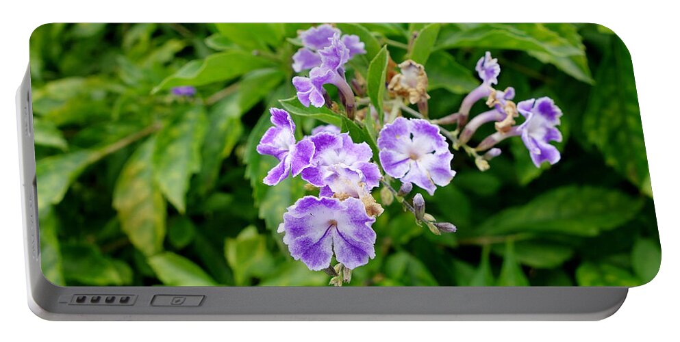 Lavender Portable Battery Charger featuring the photograph Lavender Farms Study 23 by Robert Meyers-Lussier
