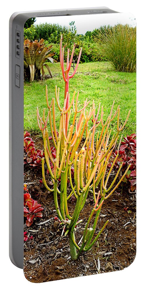 Lavender Portable Battery Charger featuring the photograph Lavender Farms Study 41 by Robert Meyers-Lussier