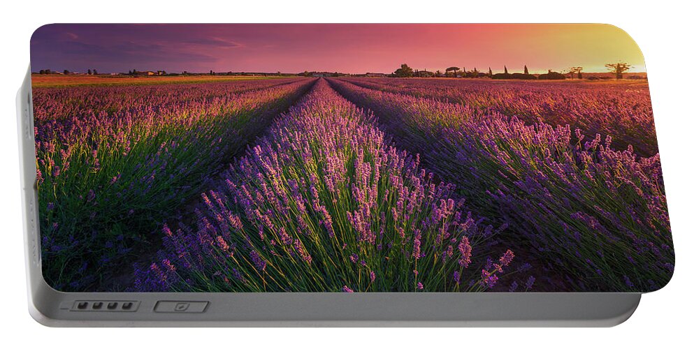 Lavender Portable Battery Charger featuring the photograph Lavender flowers fields and beautiful sunset. Cecina, Tuscany by Stefano Orazzini
