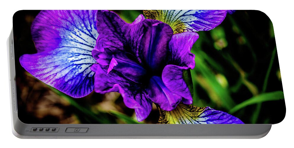 Lavender Queen Siberian Iris Portable Battery Charger featuring the photograph Lavender Queen Siberian Iris by David Patterson