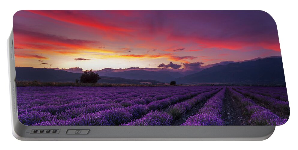 Dusk Portable Battery Charger featuring the photograph Lavender Season by Evgeni Dinev