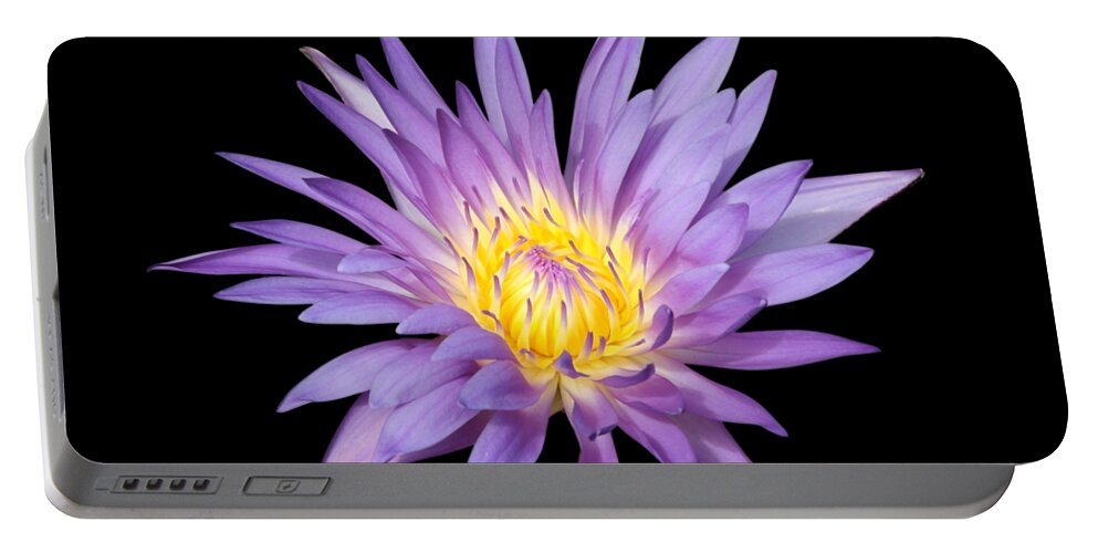 Water Lily Portable Battery Charger featuring the photograph Lavender Water Lily by Carol Groenen