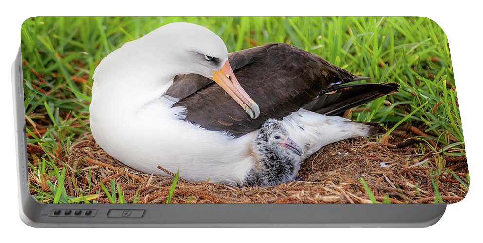 Kauai Portable Battery Charger featuring the photograph Laysan Albatross and Chick. by Doug Davidson