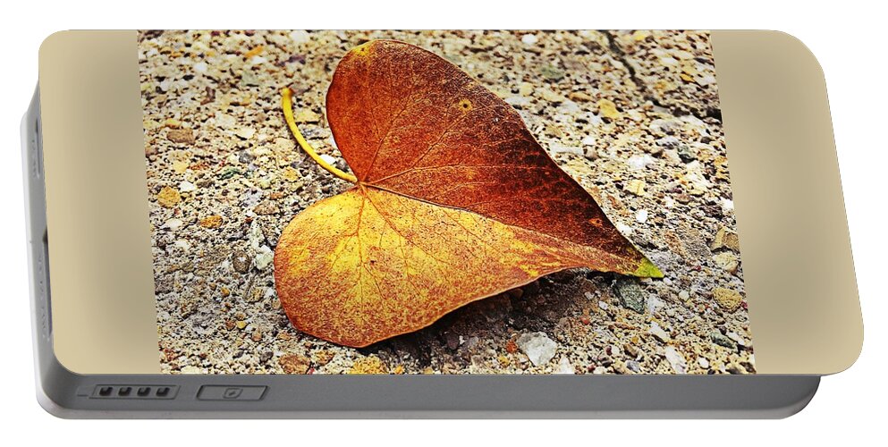 Leaf Portable Battery Charger featuring the photograph Leaf by Tanja Leuenberger