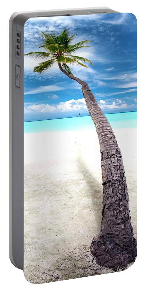 Calm Portable Battery Charger featuring the photograph Leaning Palm by Sean Davey