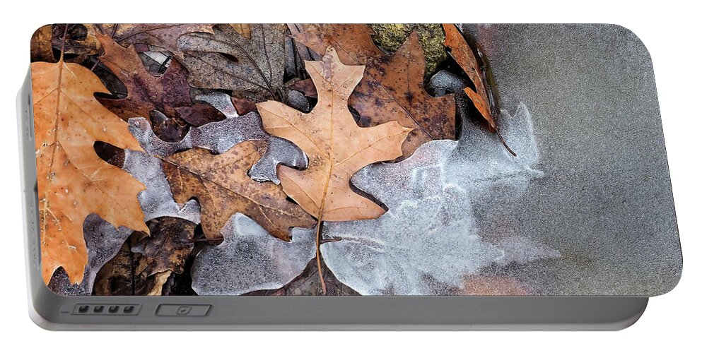 Leave Portable Battery Charger featuring the photograph Leaves in Ice by Scott Olsen