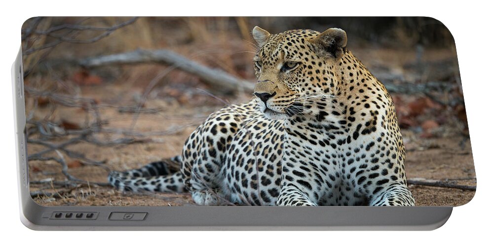 Leopard Portable Battery Charger featuring the photograph Leopard of South Africa by Bill Cubitt