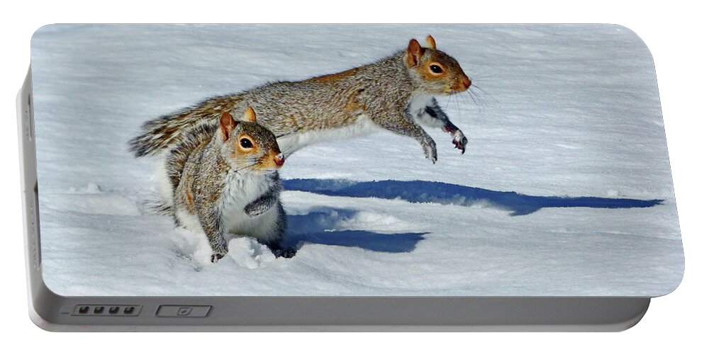 Eastern Gray Squirrel Portable Battery Charger featuring the photograph Lets Run Away by Lyuba Filatova