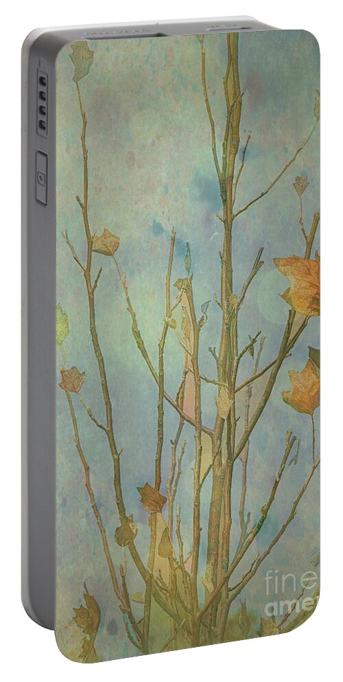 Autumn Portable Battery Charger featuring the photograph Letting Go of Autumn 2 by Elaine Teague
