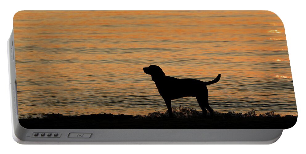 Dog Portable Battery Charger featuring the photograph Levi Dog Silhouette on the Beach by Denise Kopko