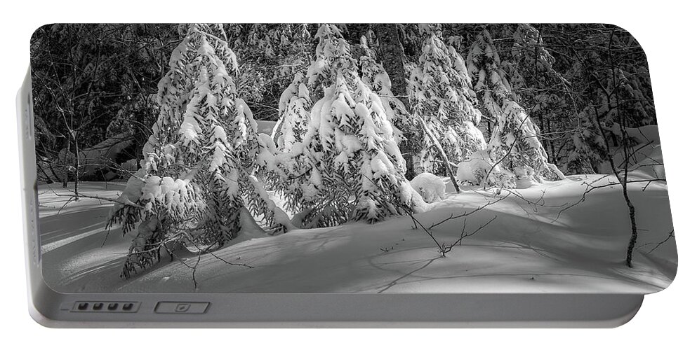 New Hampshire Portable Battery Charger featuring the photograph Light In The Winter Wood by Jeff Sinon