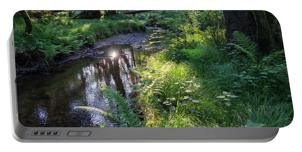 Forest Portable Battery Charger featuring the photograph Relaxing ambience on the river bank by Adriana Mueller