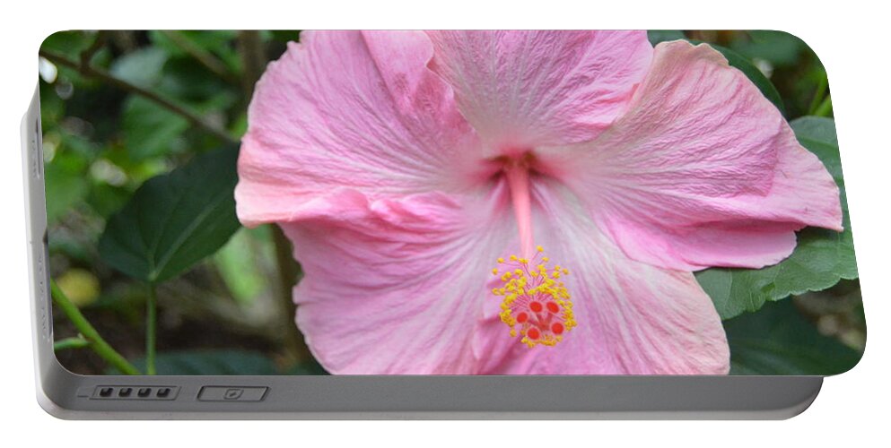 Flower Portable Battery Charger featuring the photograph Light Pink Hibiscus 2 by Amy Fose