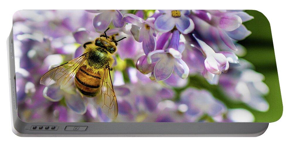 Lilac Portable Battery Charger featuring the photograph Lilac Bee by Darcy Dietrich