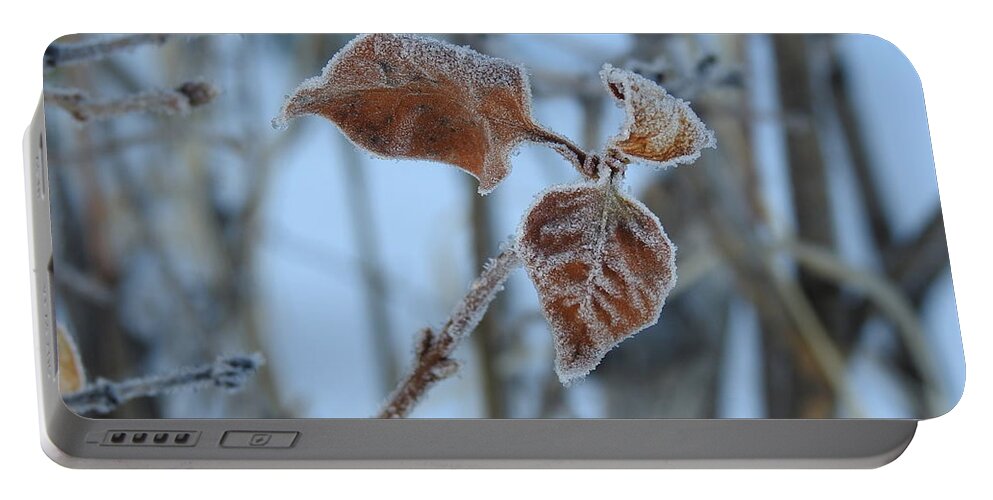 Frost Portable Battery Charger featuring the photograph Lilac leaves by Nicola Finch