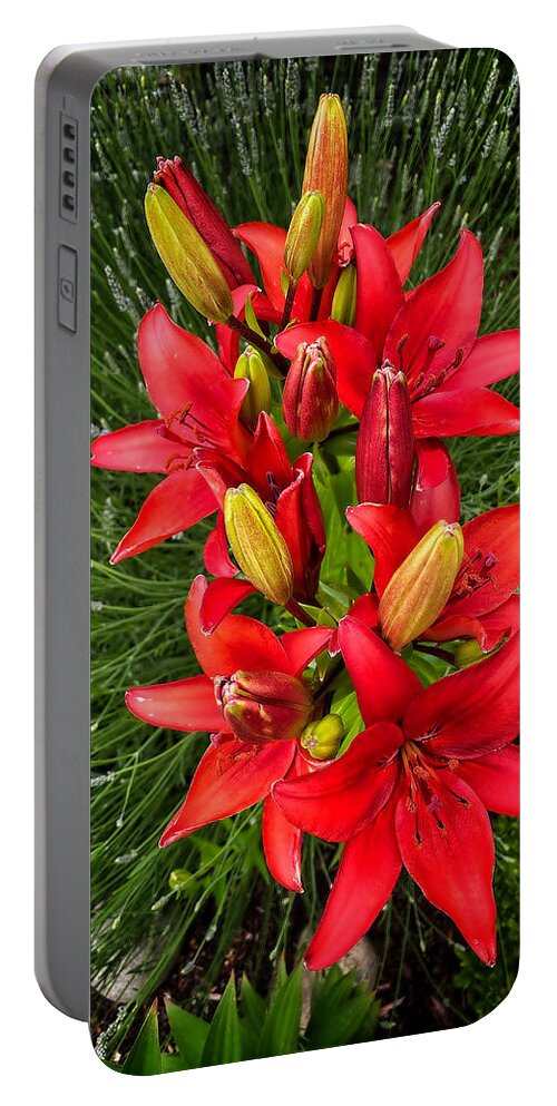 Lilium Portable Battery Charger featuring the photograph Lilium Blackout flower by Jerry Abbott
