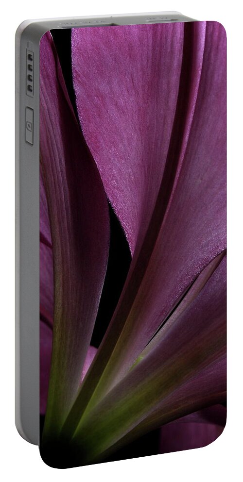 Botanical Portable Battery Charger featuring the photograph Lily 4148 by Julie Powell