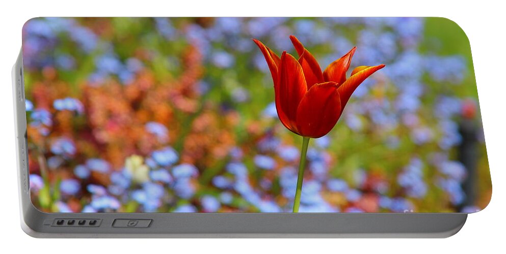 Tulip Portable Battery Charger featuring the photograph Lily Flowered Tulip by Kimberly Furey