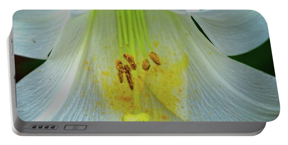 Nature Portable Battery Charger featuring the photograph Lily by George Taylor