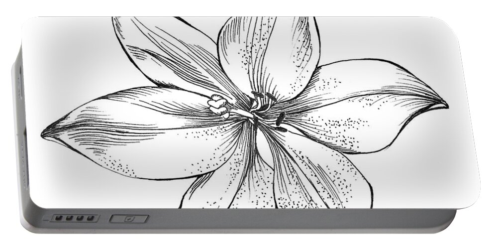 Lily Illustration Kauai Hawaii Drawing Pen Ink Indiaink Opalux Black White Portable Battery Charger featuring the drawing Lily II by Catherine Bede