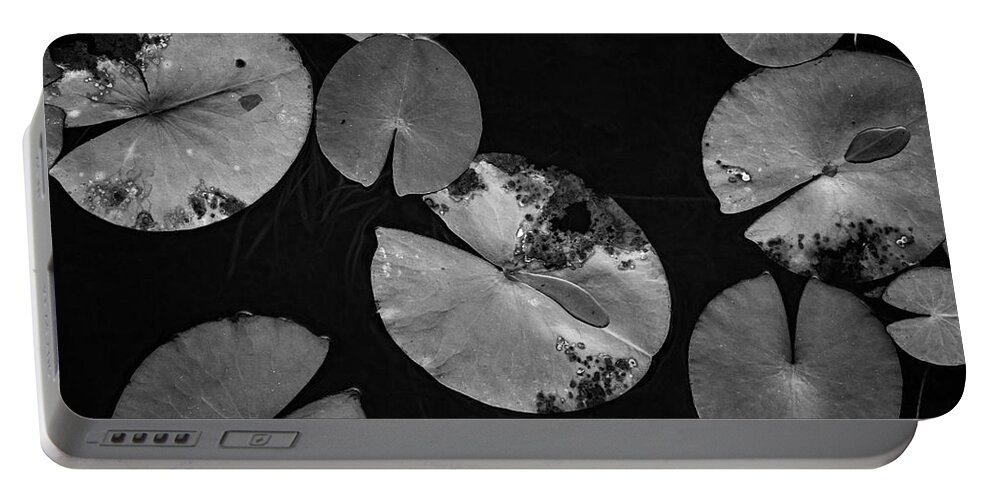 Black And White Portable Battery Charger featuring the photograph Lily Pads I BW by David Gordon