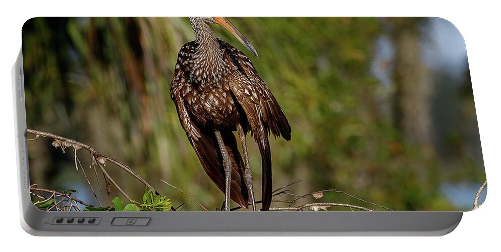 Limp Kin Portable Battery Charger featuring the photograph Limpkin by Les Greenwood