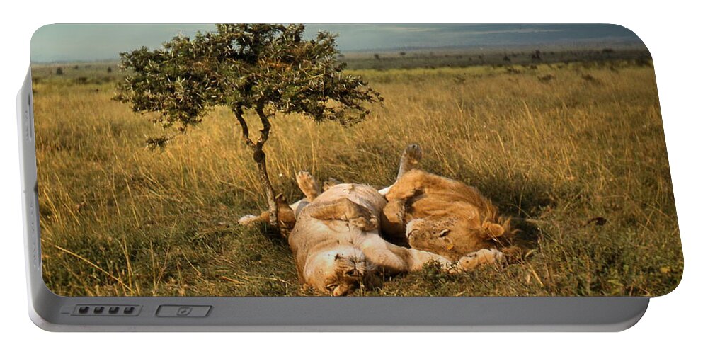 Africa Portable Battery Charger featuring the photograph Lion and Lioness Napping by Russel Considine