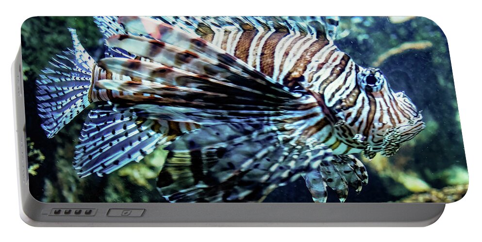 Fish Portable Battery Charger featuring the photograph Lion fish close up by Flees Photos