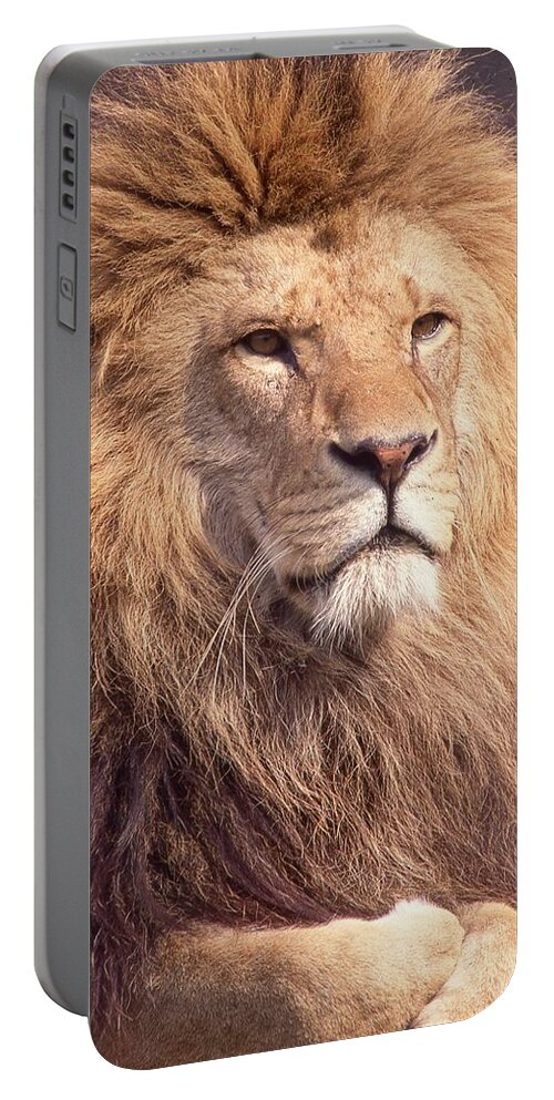 Lion Portable Battery Charger featuring the photograph Lion King 2 by Russel Considine