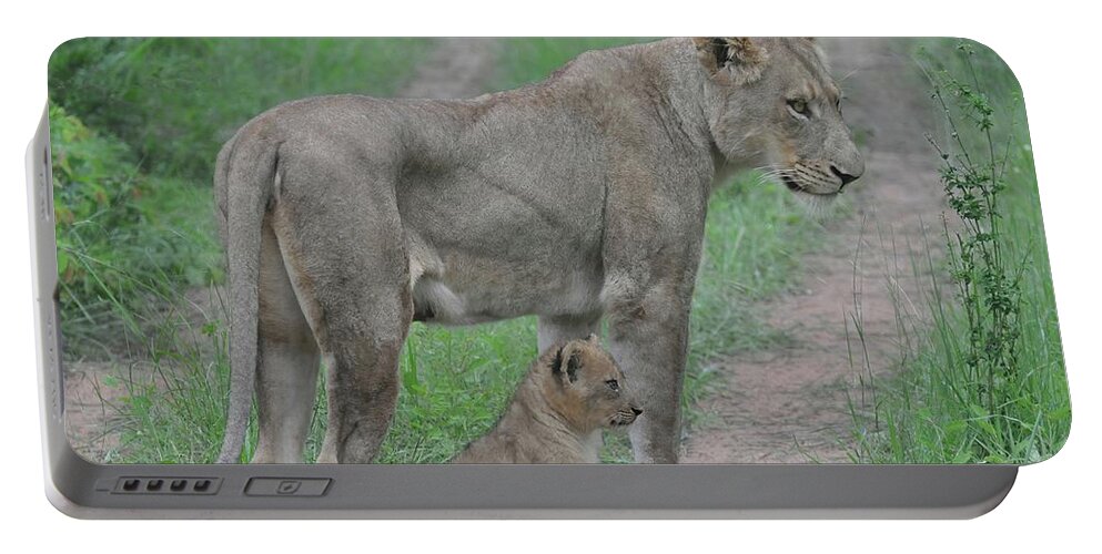 Lion Portable Battery Charger featuring the photograph Lioness and Cub on the Road by Rebecca Herranen