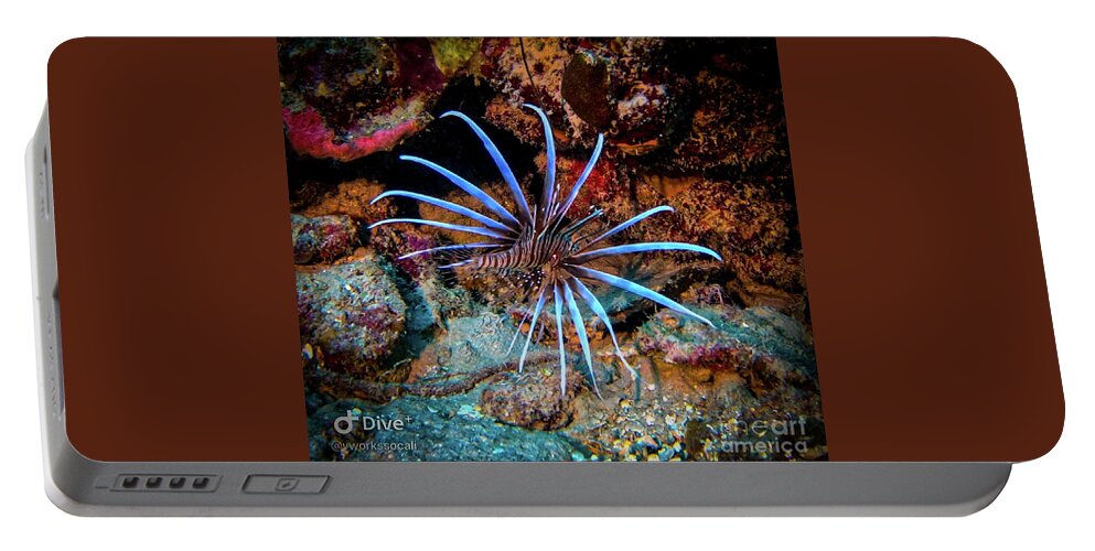 Lionfish Portable Battery Charger featuring the photograph Lionfish by Kip Vidrine
