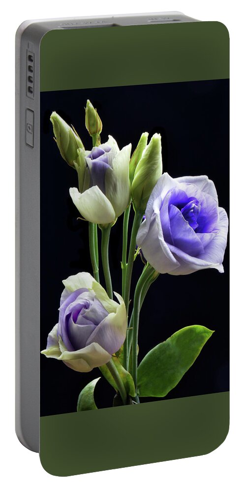 Lisianthus Portable Battery Charger featuring the photograph Lisianthus And Buddies by Terence Davis