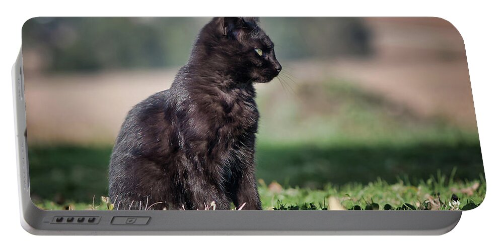 Cat Portable Battery Charger featuring the photograph Little Bear's Profile by American Landscapes