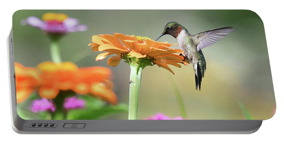 Ruby Throated Hummingbird Portable Battery Charger featuring the photograph Little Bird Big Appetite by Linda Shannon Morgan