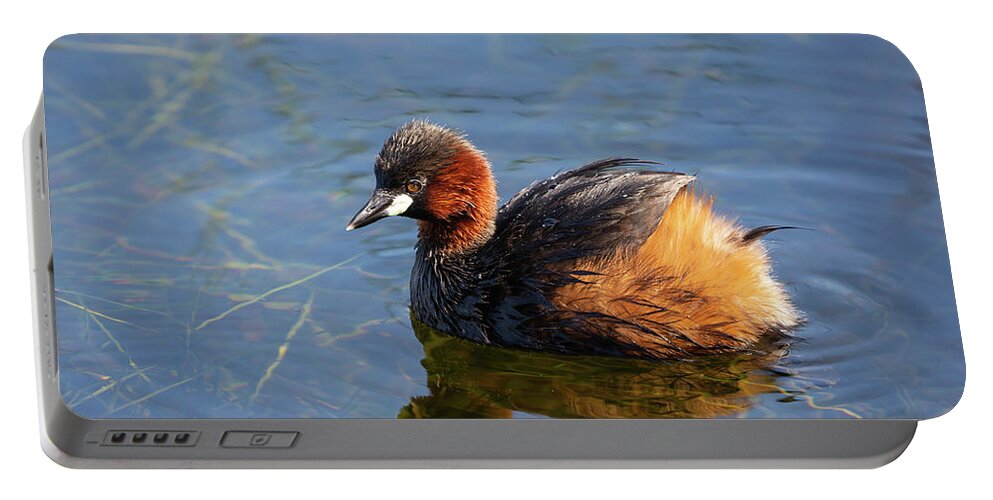 Little Grebe Portable Battery Charger featuring the photograph Little Grebe2 by Eva Lechner