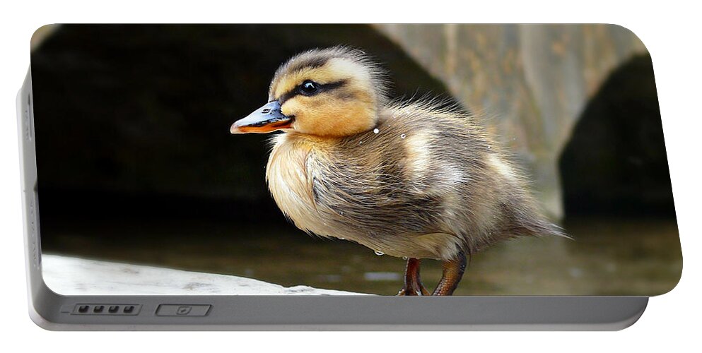 Duckling Portable Battery Charger featuring the photograph Little Quack by Morag Bates