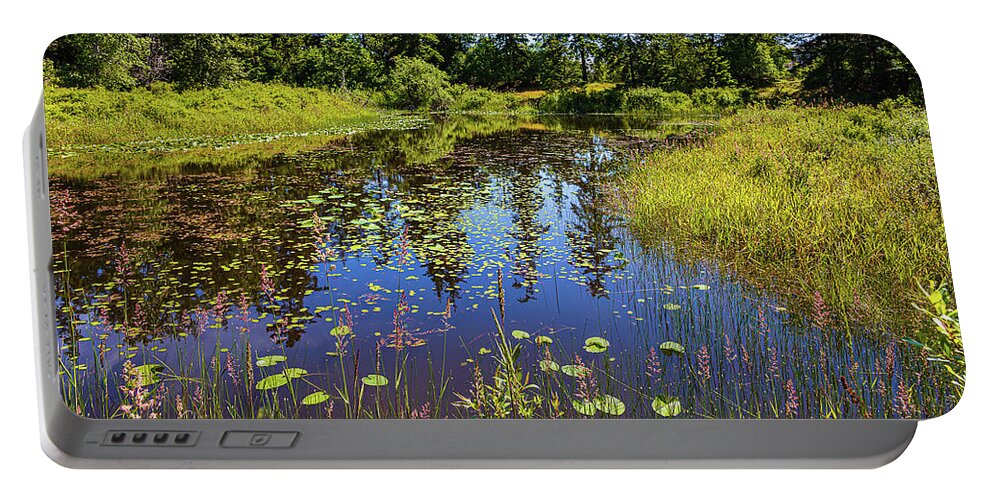 Landscapes Portable Battery Charger featuring the photograph Little River Pond by Claude Dalley
