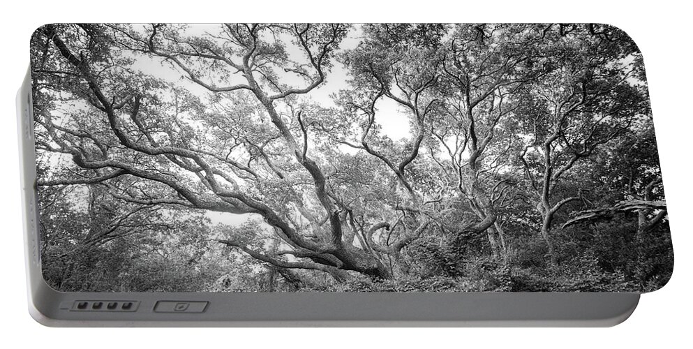 Live Oak Portable Battery Charger featuring the photograph Live Oak Tree at Atlantic Beach North Carolina - Black and White by Bob Decker