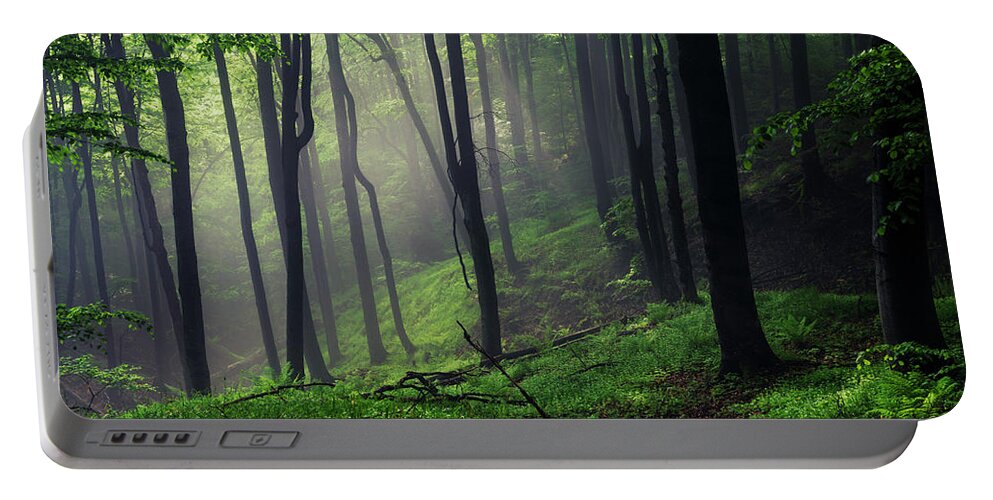 Mist Portable Battery Charger featuring the photograph Living Forest by Evgeni Dinev