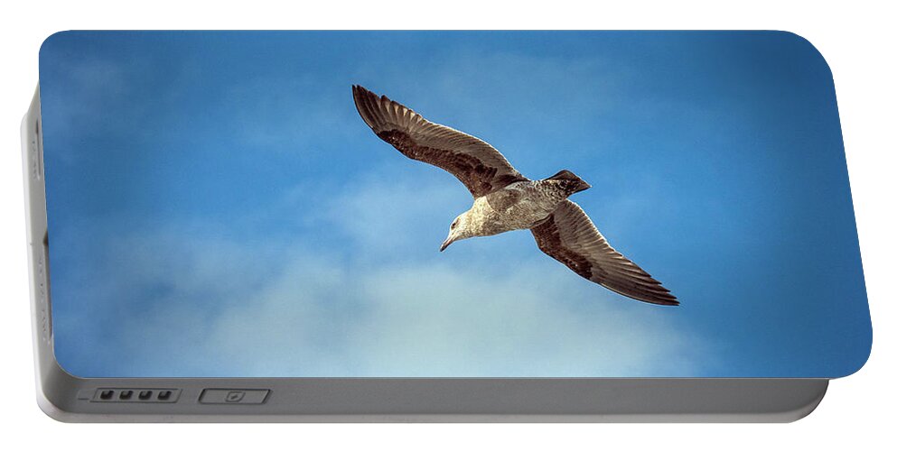 Seagull Portable Battery Charger featuring the photograph Livingstone I Presume by Joe Schofield