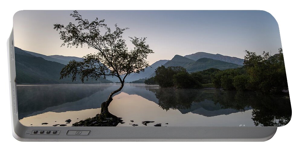 Tree Portable Battery Charger featuring the photograph Llyn Padarn Tree by David Lichtneker