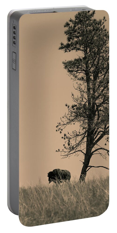Bison Portable Battery Charger featuring the photograph Lone Bison by Larry Bohlin