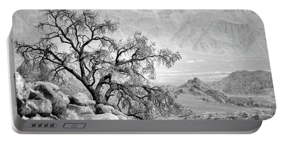  Portable Battery Charger featuring the photograph Lone Tree by Doug Sturgess